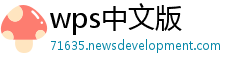 wps中文版